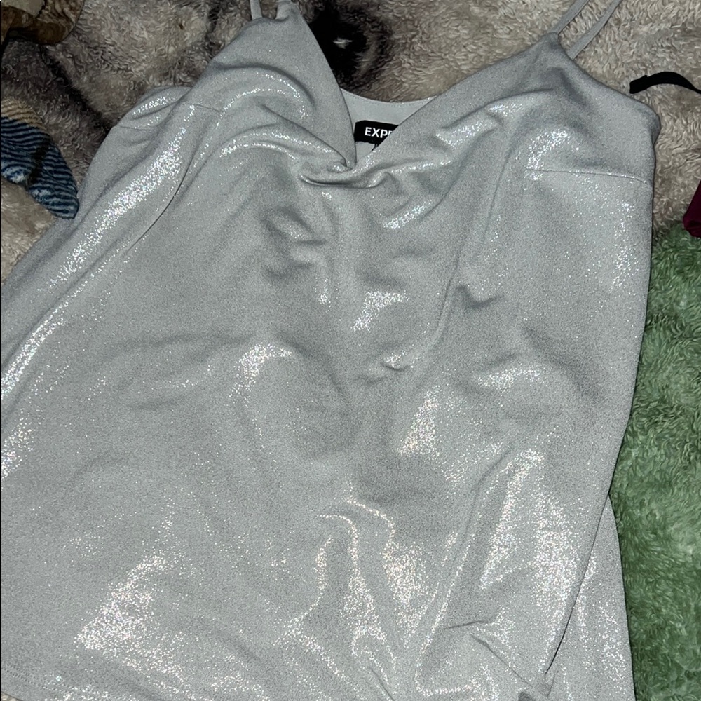 Express Silver Glittery Tank Top
